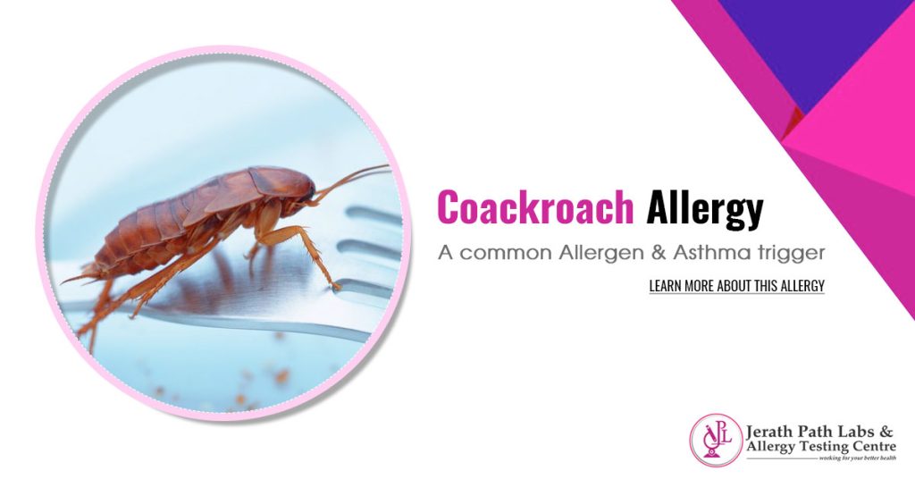 Shocking Cockroach Allergy Tests! Discover Remedies Now!